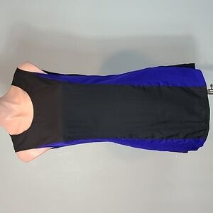 BCBGMAXAZRIA IKE Silky Dress colorblock shift Comfy Y2K Size XS Avant Garde